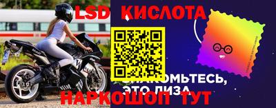 индика Ливны