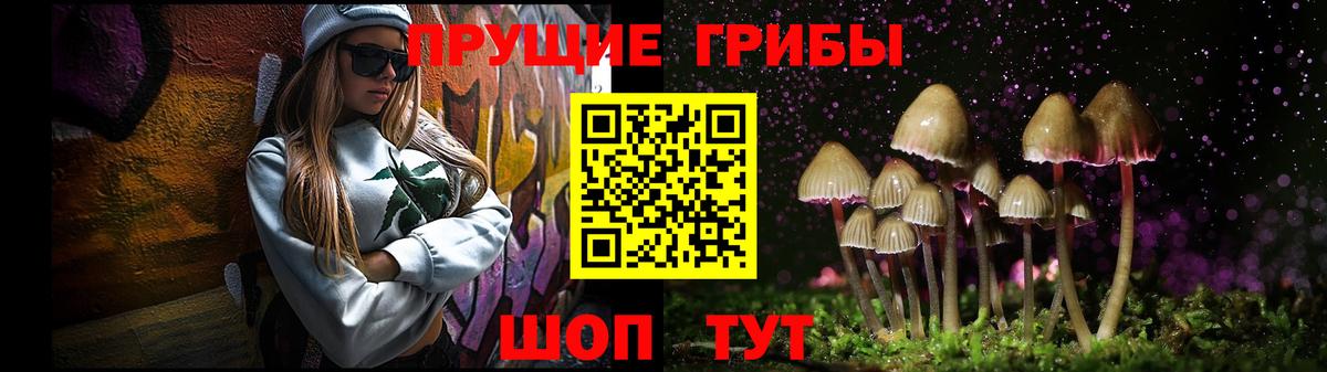 Псилоцибиновые грибы ЛСД  Вход с VPN  Псилоцибиновые грибы Cubensis  Гусиноозёрск 